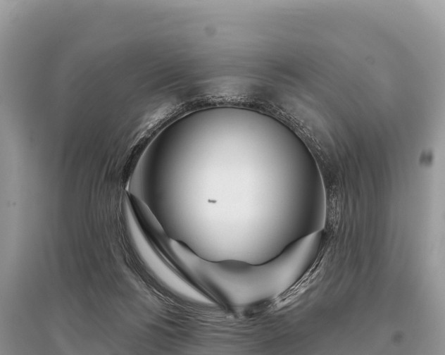 X0000096170168200801251200