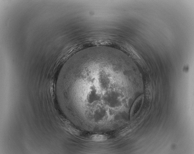 X0000096170169200801251200