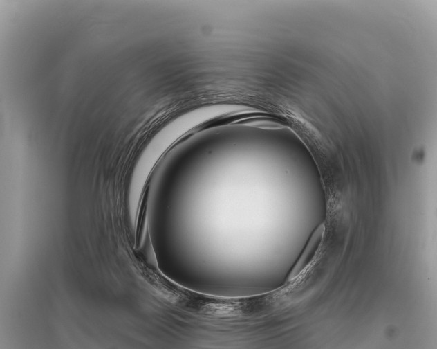 X0000096170170200801251200