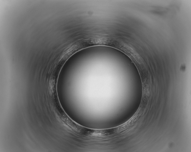 X0000096170171200801251200