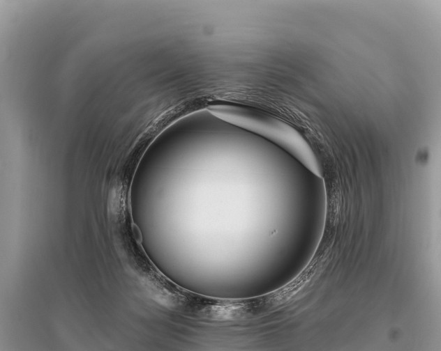 X0000096170172200801251200