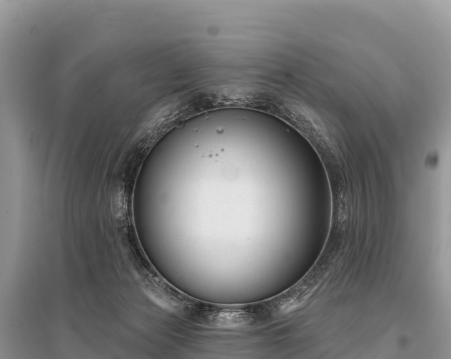 X0000096170173200801251200