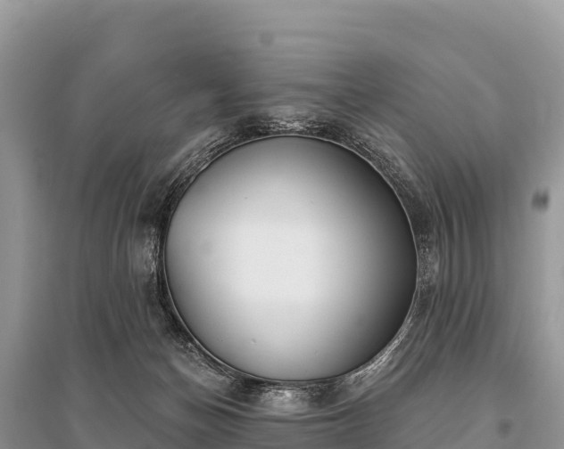 X0000096170174200801251200