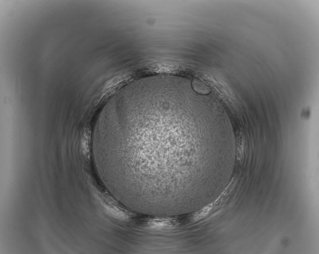 X0000096170175200801251200