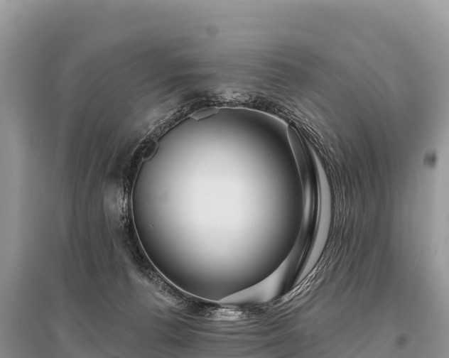 X0000096170176200801251200