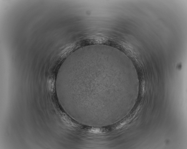 X0000096170177200801251200