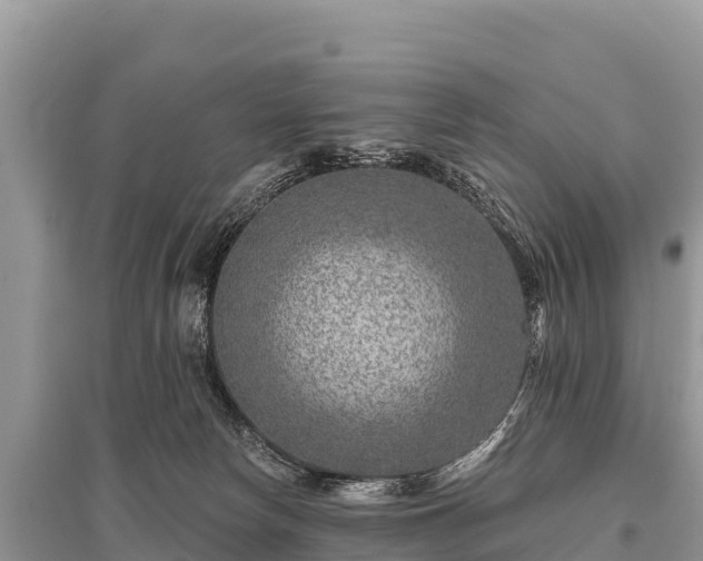 X0000096170178200801251200