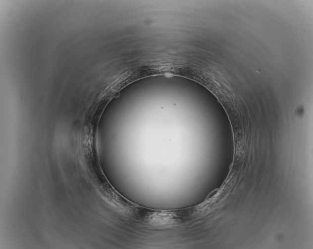 X0000096170179200801251200