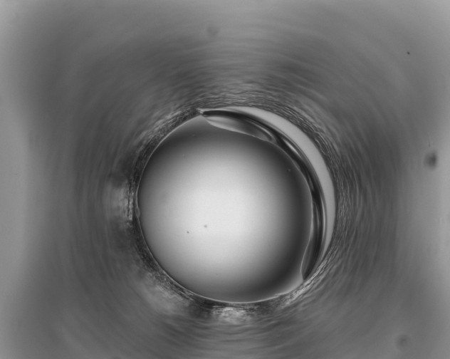 X0000096170180200801251200