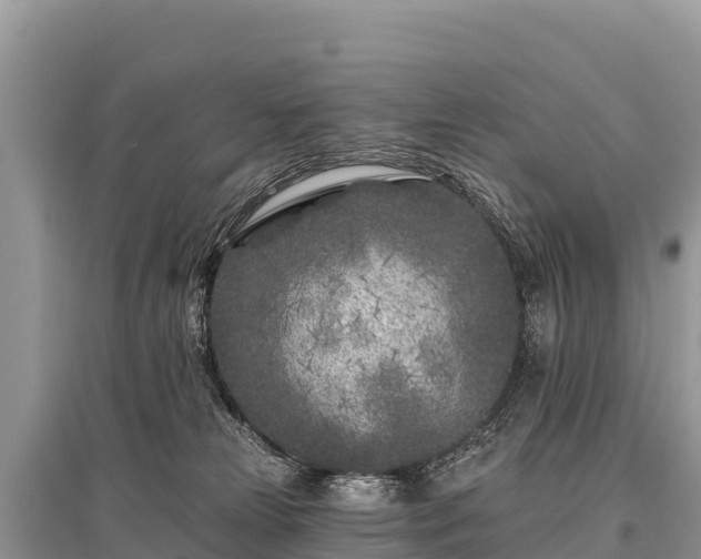 X0000096170181200801251200