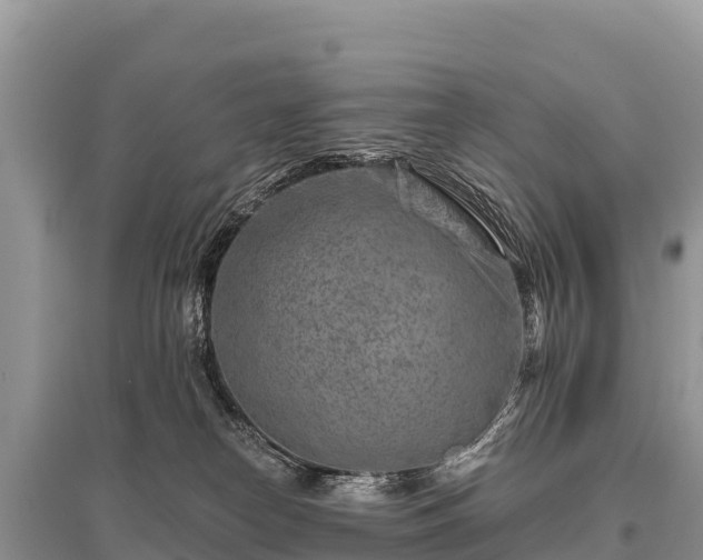 X0000096170182200801251200