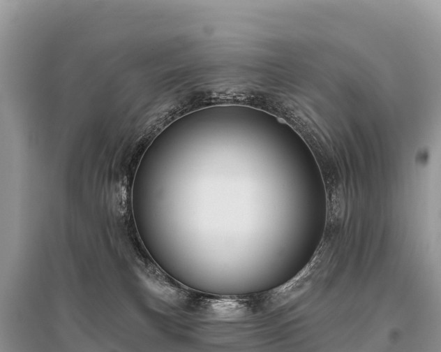 X0000096170183200801251200