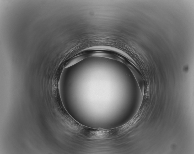 X0000096170184200801251200