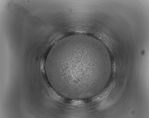 X0000096170185200801251200