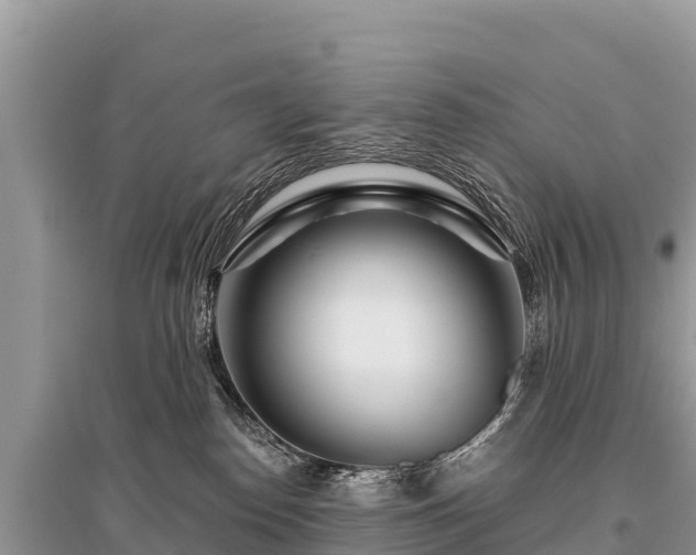 X0000096170186200801251200