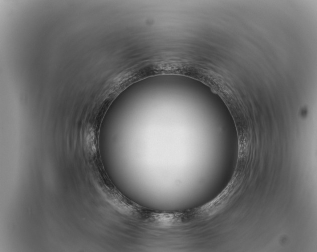 X0000096170187200801251200