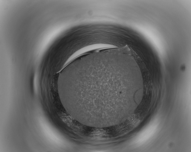 X0000096170189200801251200