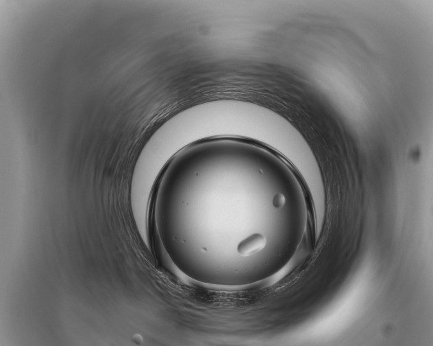 X0000096170190200801251200