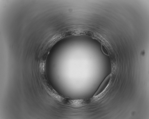 X0000096170191200801251200