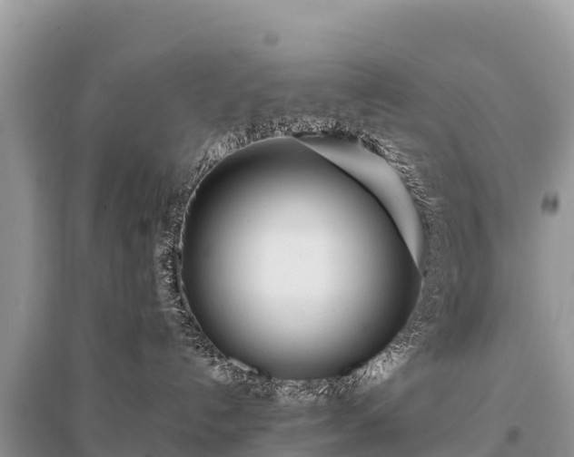 X0000096170192200801251200