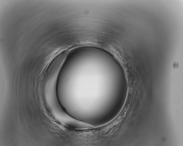 X0000096170193200801251200