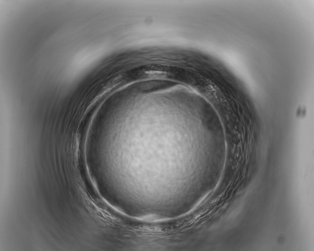 X0000096170194200801251200