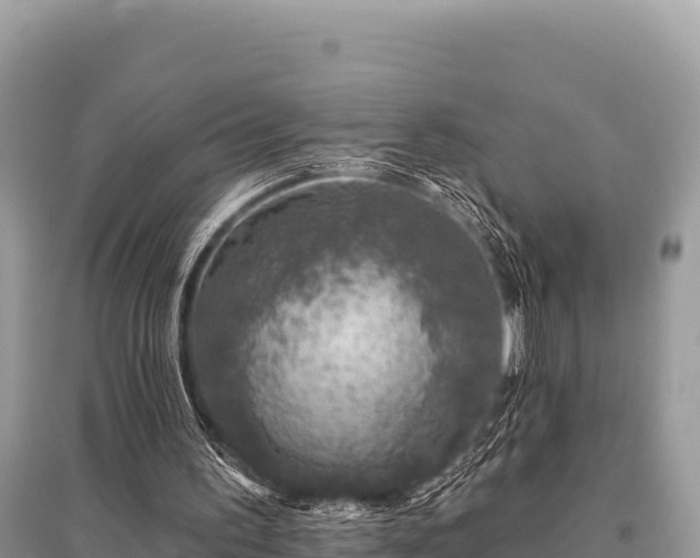 X0000096170195200801251200