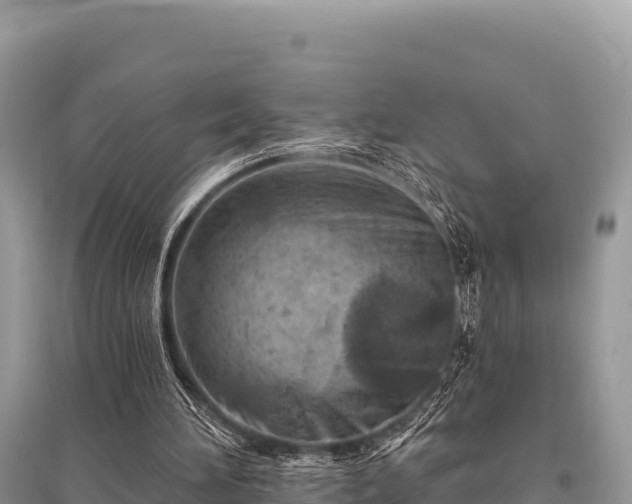 X0000096170196200801251200