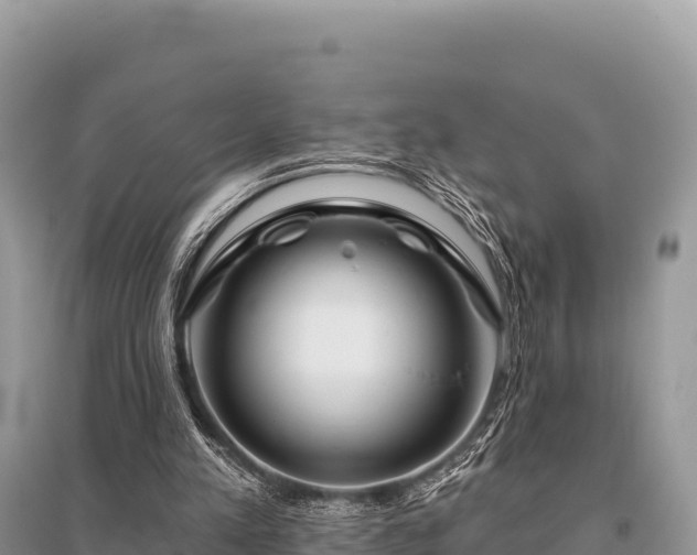 X0000096170197200801251200