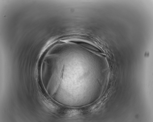 X0000096170198200801251159