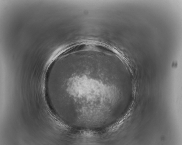 X0000096170199200801251159