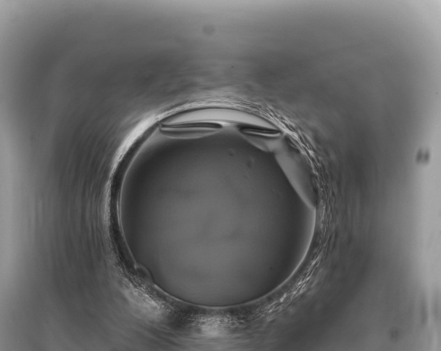 X0000096170200200801251159