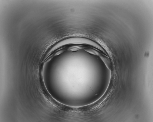 X0000096170201200801251159