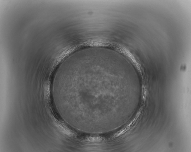 X0000096170202200801251159