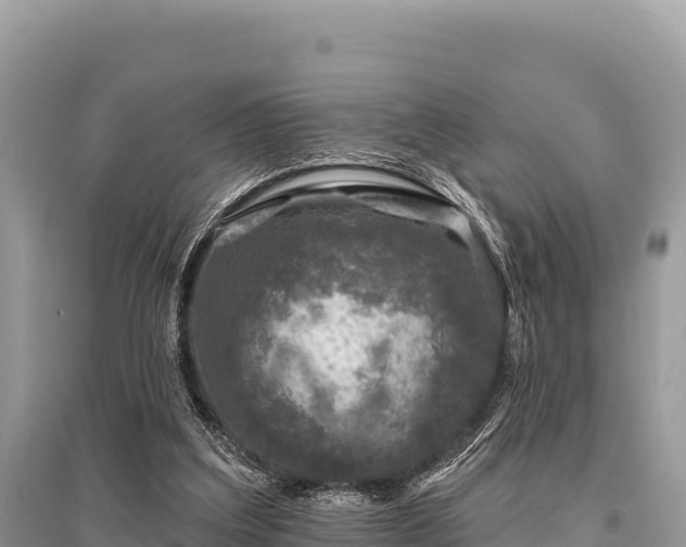 X0000096170203200801251159