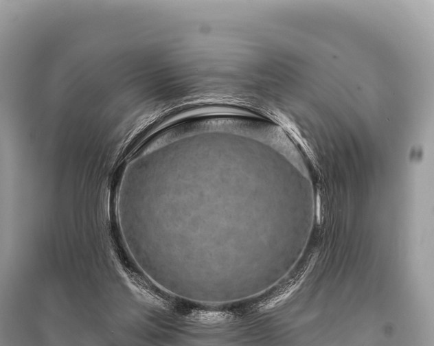 X0000096170205200801251159