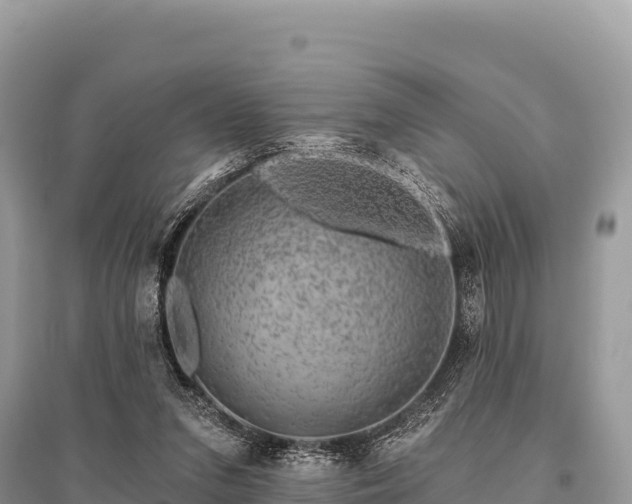 X0000096170207200801251159