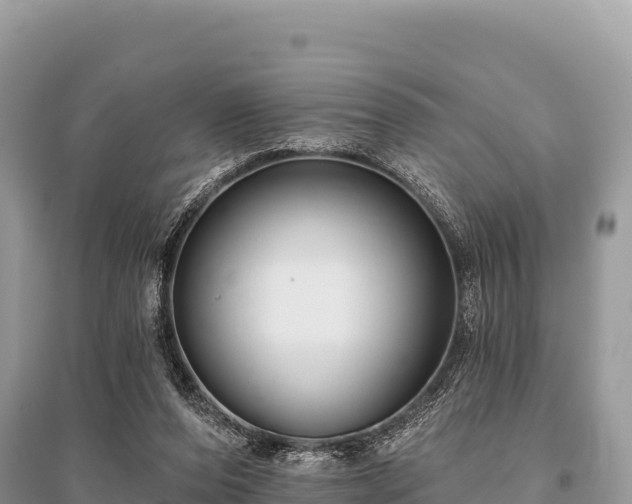 X0000096170208200801251159