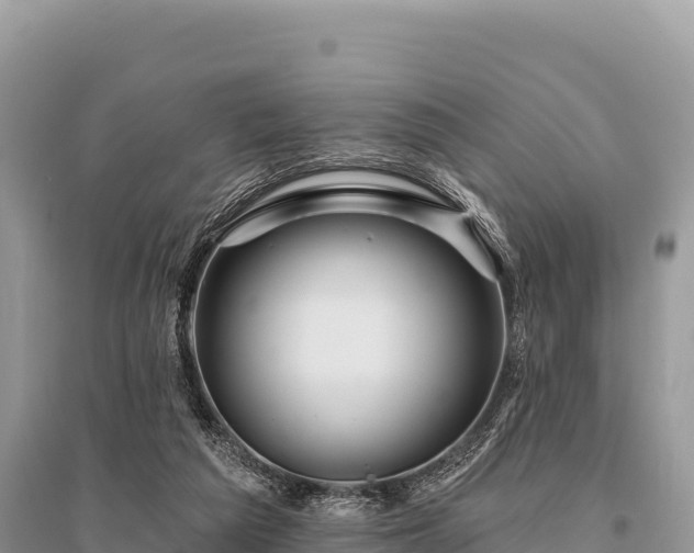 X0000096170209200801251159