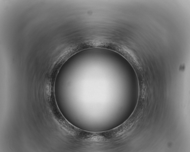 X0000096170210200801251159