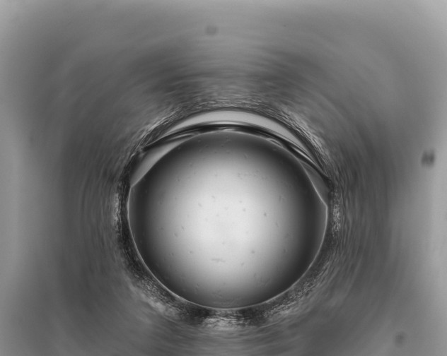 X0000096170211200801251159