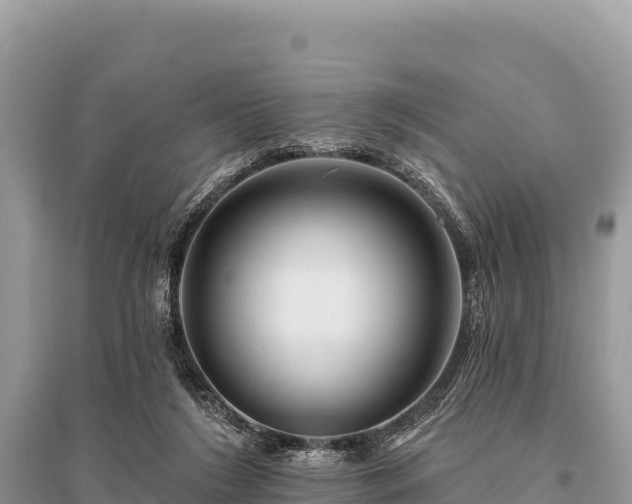 X0000096170212200801251159