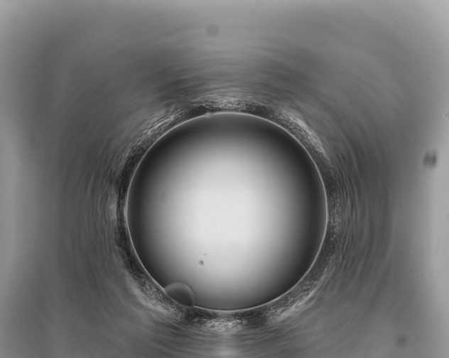 X0000096170213200801251159