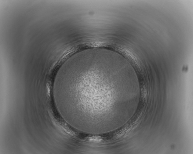 X0000096170214200801251159