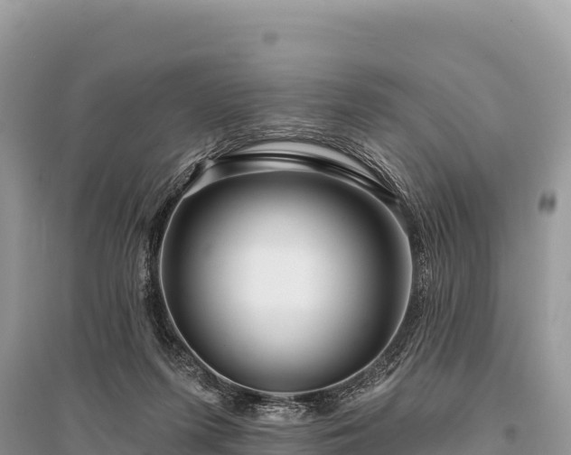 X0000096170215200801251159