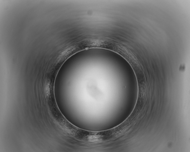 X0000096170216200801251159