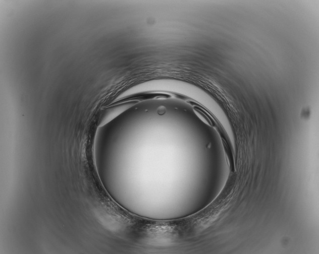 X0000096170217200801251159