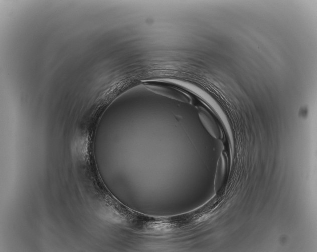 X0000096170219200801251159