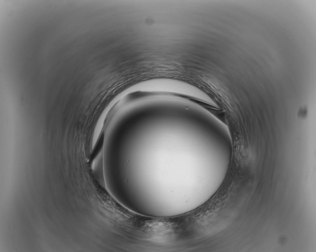 X0000096170221200801251159