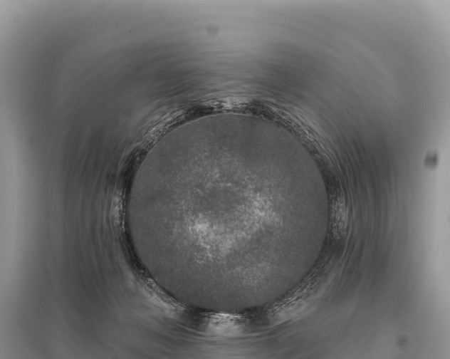 X0000096170222200801251159